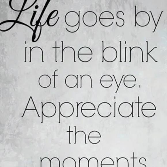 Meet your Posher, Connie - Picture 6 of 6